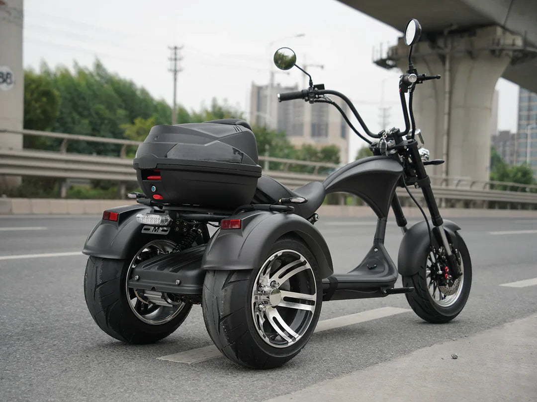 Fat Tire Electric Trikes