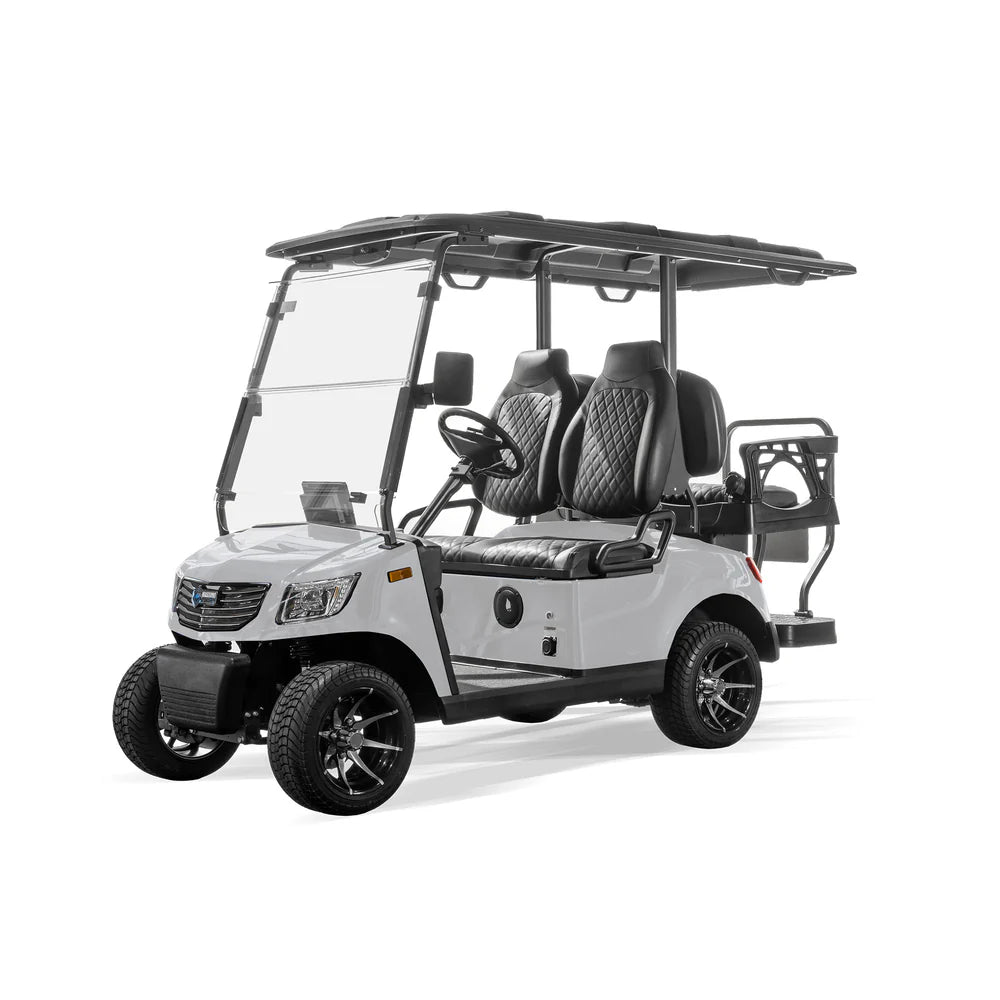 Massimo MVS 2X (Lithium)