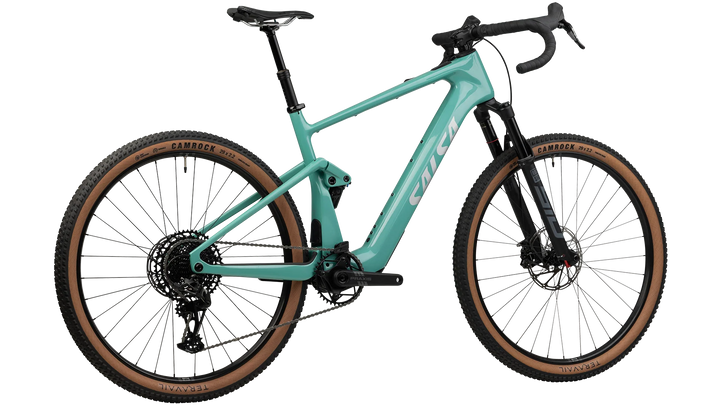 SALSA Wanderosa C Apex Eagle Ebike - 29" Carbon Sea Green Medium