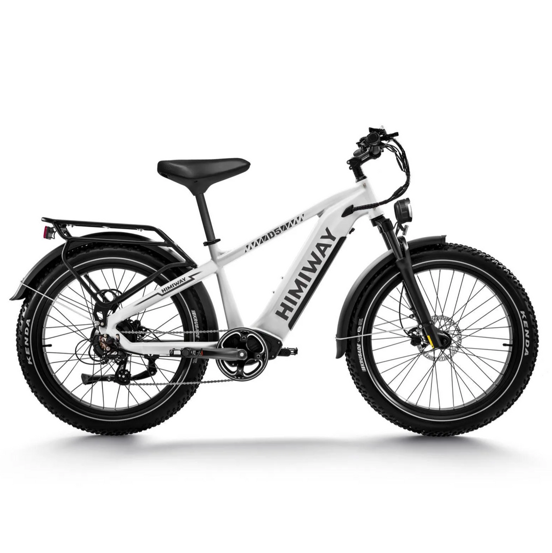 Himiway Zebra D5| 750W Hub Motor, Long Range Fat Tire E-Bike-HS