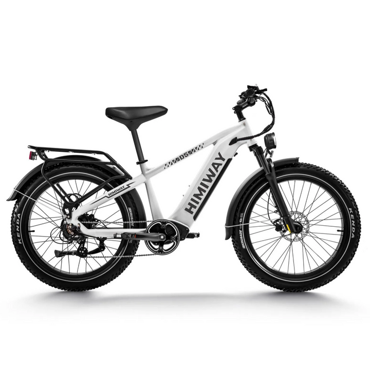 Himiway Zebra D5| 750W Hub Motor, Long Range Fat Tire E-Bike-HS