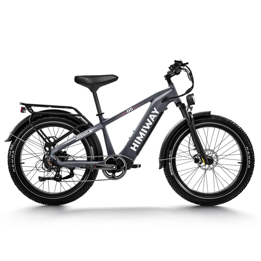 Himiway Zebra D5| 750W Hub Motor, Long Range Fat Tire E-Bike-HS