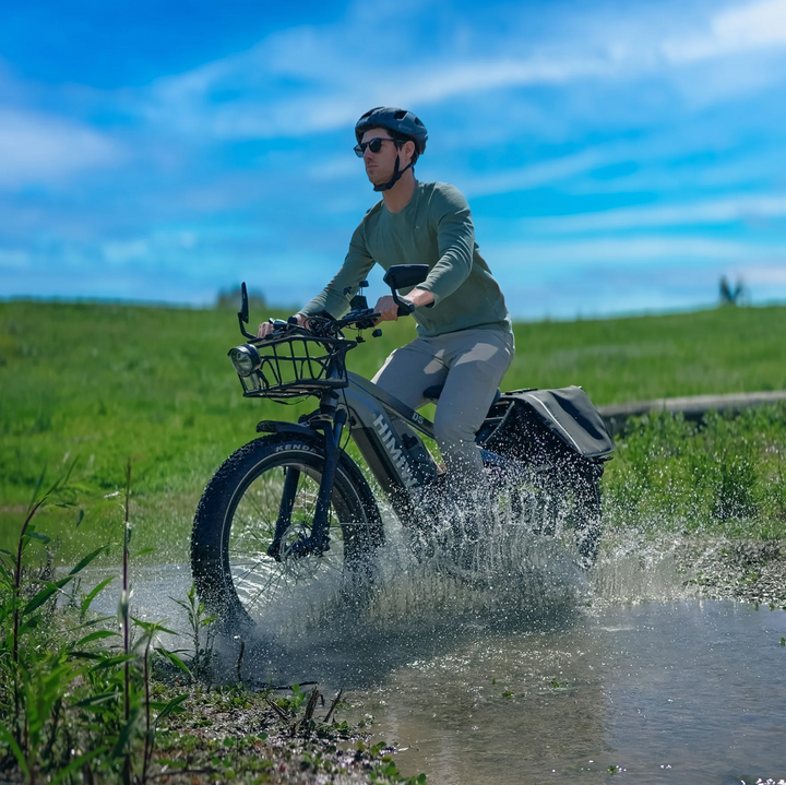 Himiway Zebra D5| 750W Hub Motor, Long Range Fat Tire E-Bike-HS