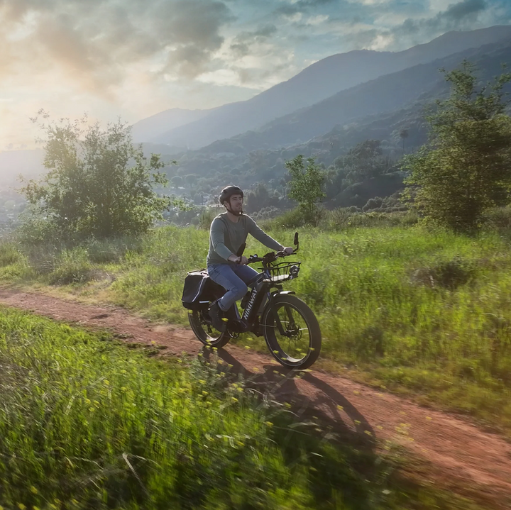 Himiway Zebra D5| 750W Hub Motor, Long Range Fat Tire E-Bike-HS