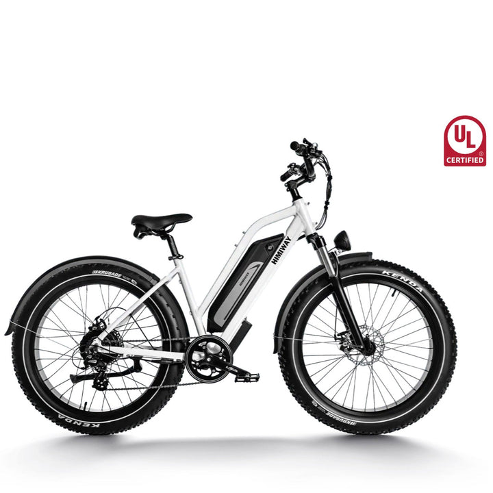 Himiway| D3 Cruiser 750W Long Range Step Thru All Terrain E-Bike