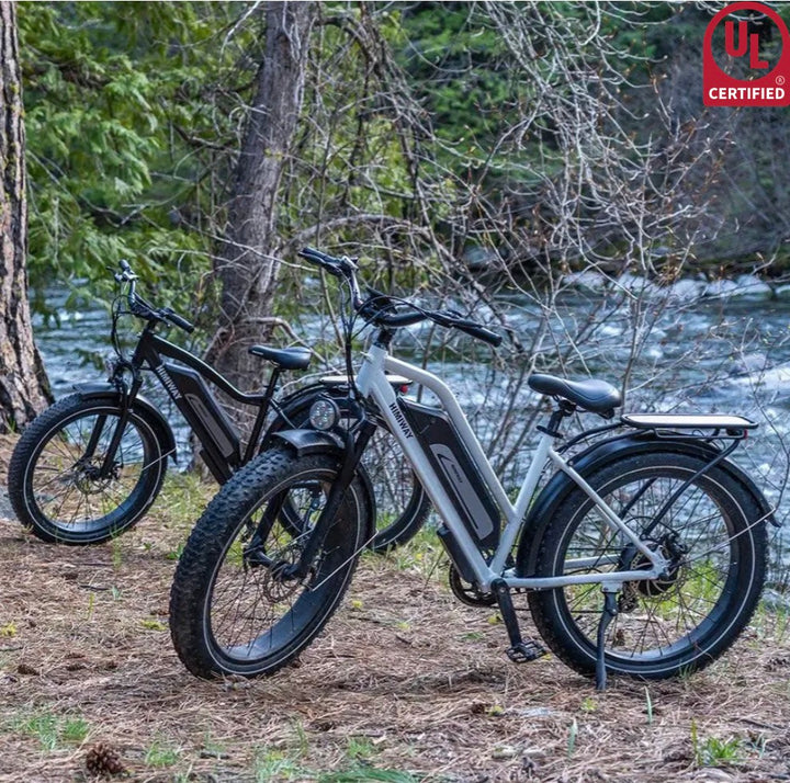 Himiway| D3 Cruiser 750W Long Range Step Thru All Terrain E-Bike