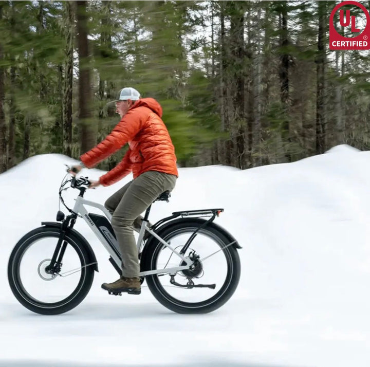 Himiway| D3 Cruiser 750W Long Range Step Thru All Terrain E-Bike