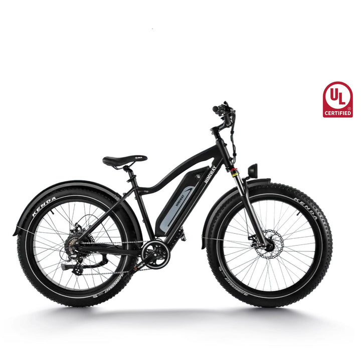 Himiway| D3 Cruiser 750W Long Range Step Over All Terrain Electric Bike