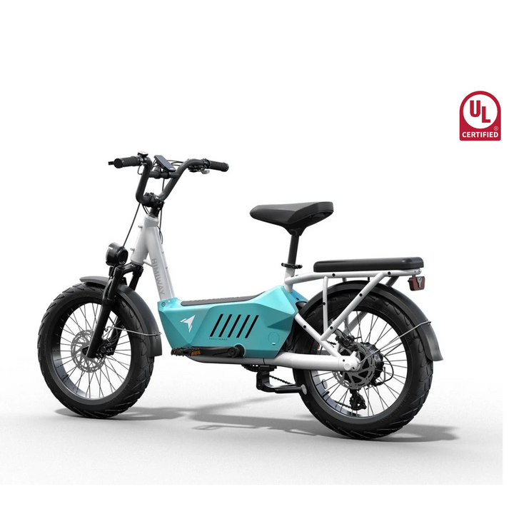 Himiway| C3 Powerful Commuter & Utility Cargo Electric Bike