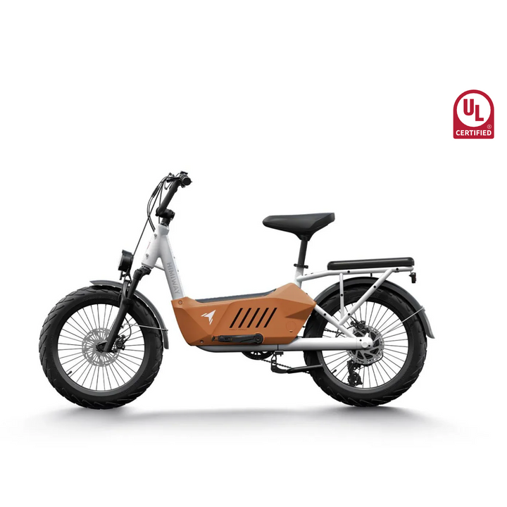 Himiway| C3 Powerful Commuter & Utility Cargo Electric Bike