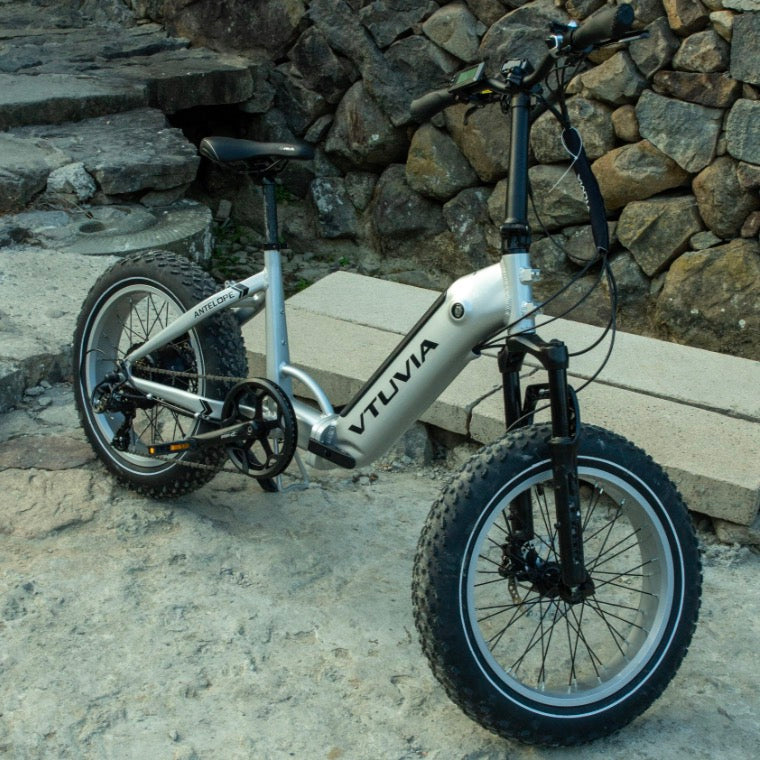 VTUVIA| Reindeer Secondary Battery