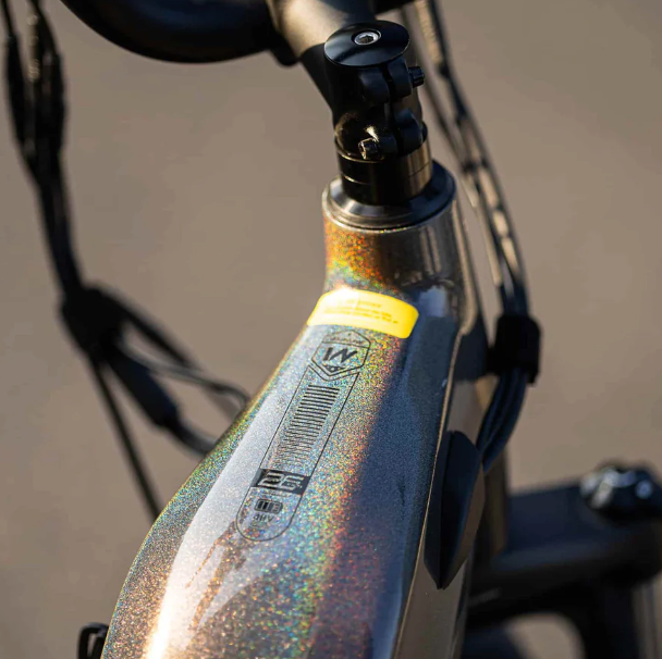 Velowave|Grace 2.0 Step-Thru Electric Bike