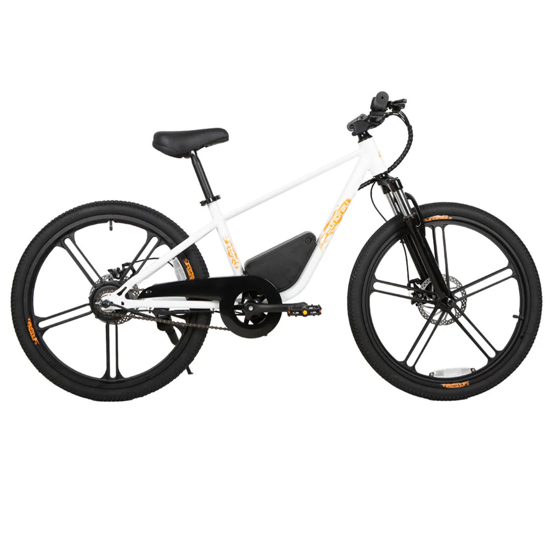 Eunorau| EKIDS-24, 24" Wheels, 250W Motor, 15.5 MPH Safe & Easy E-Bike
