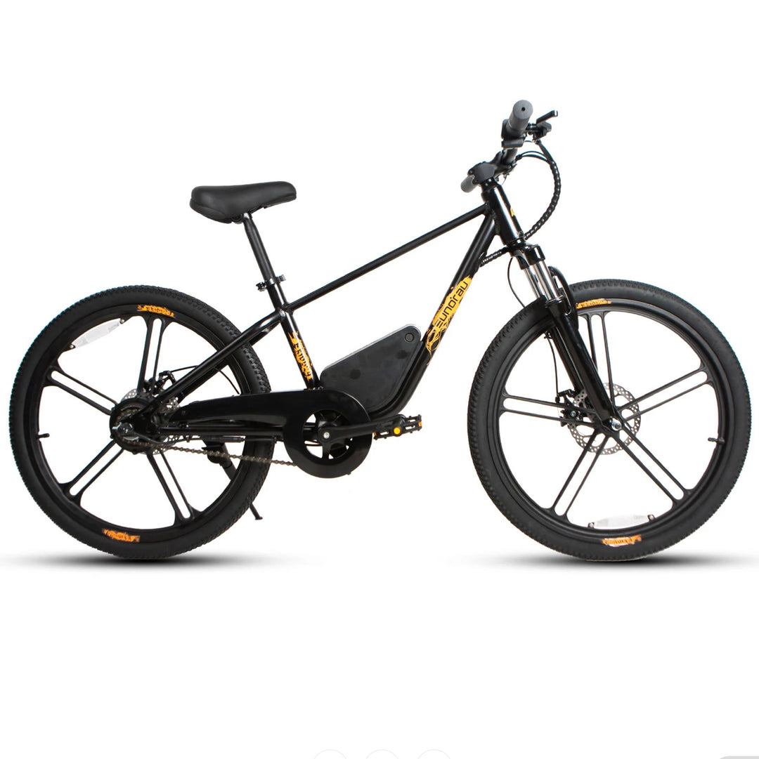 Eunorau| EKIDS-24, 24" Wheels, 250W Motor, 15.5 MPH Safe & Easy E-Bike