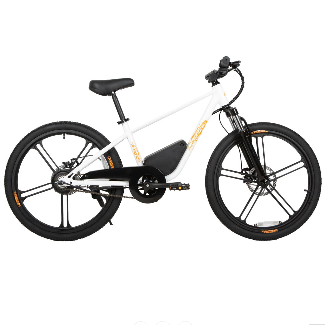 Eunorau| EKIDS-24, 24" Wheels, 250W Motor, 15.5 MPH Safe & Easy E-Bike