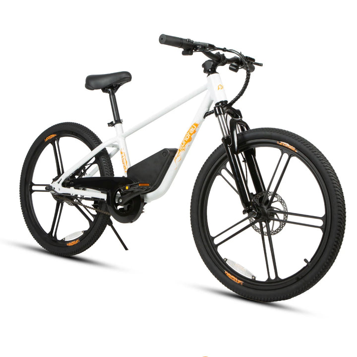 Eunorau| EKIDS-24, 24" Wheels, 250W Motor, 15.5 MPH Safe & Easy E-Bike