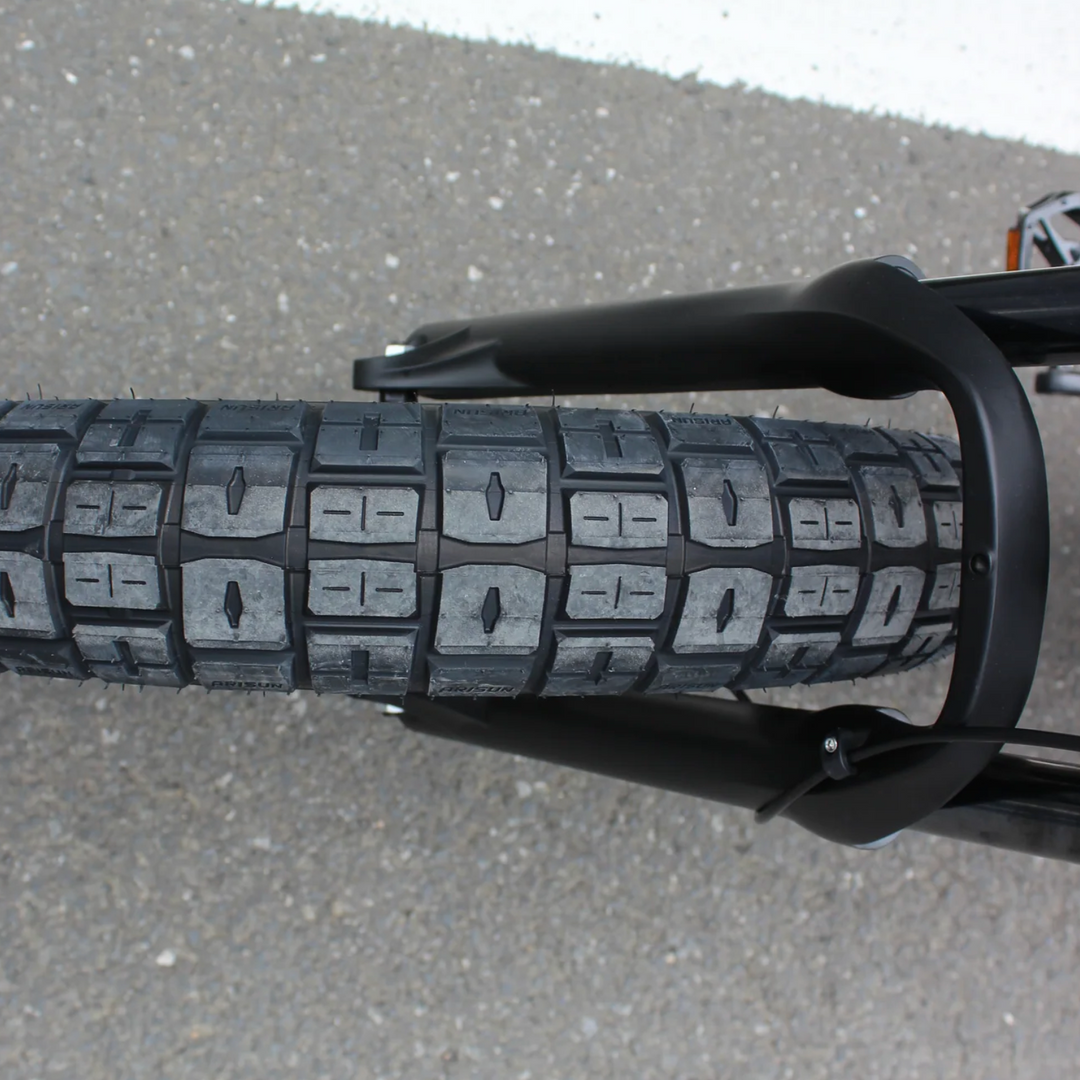 Coastal Cruiser Ripper Pro - Dual-Battery 48V 750W Moto Style E-Bike