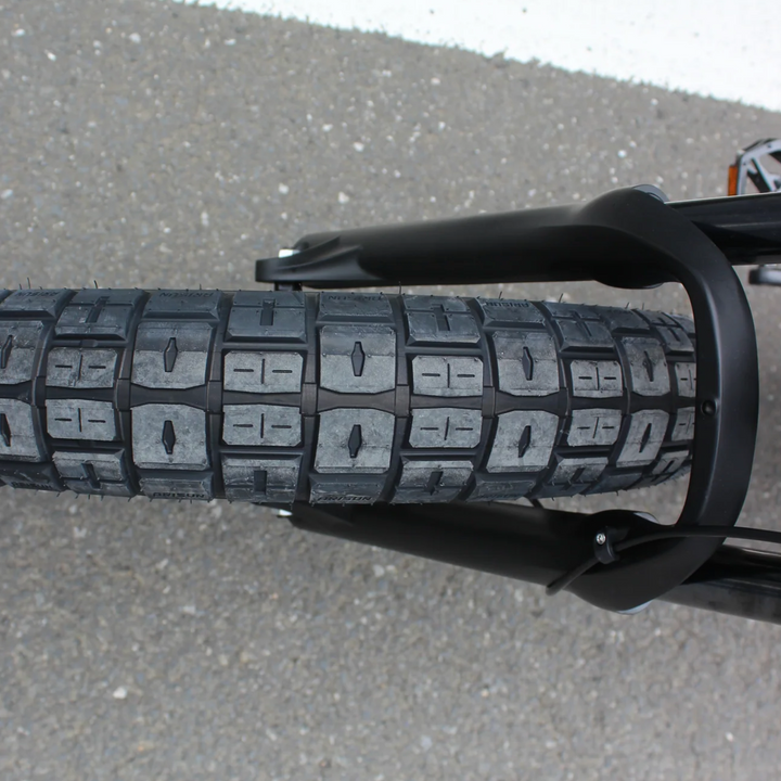 Coastal Cruiser Ripper Pro - Dual-Battery 48V 750W Moto Style E-Bike