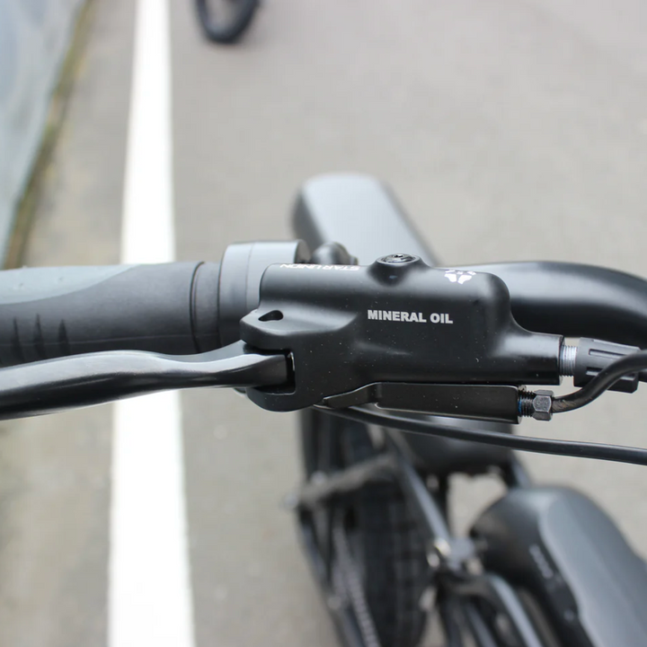 Coastal Cruiser Ripper Pro - Dual-Battery 48V 750W Moto Style E-Bike