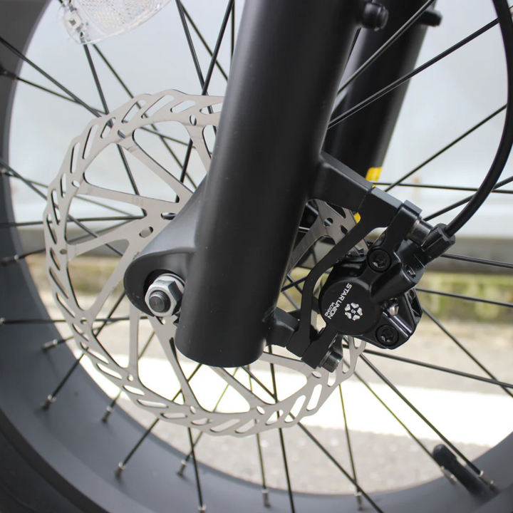 Coastal Cruiser Ripper Pro - Dual-Battery 48V 750W Moto Style E-Bike