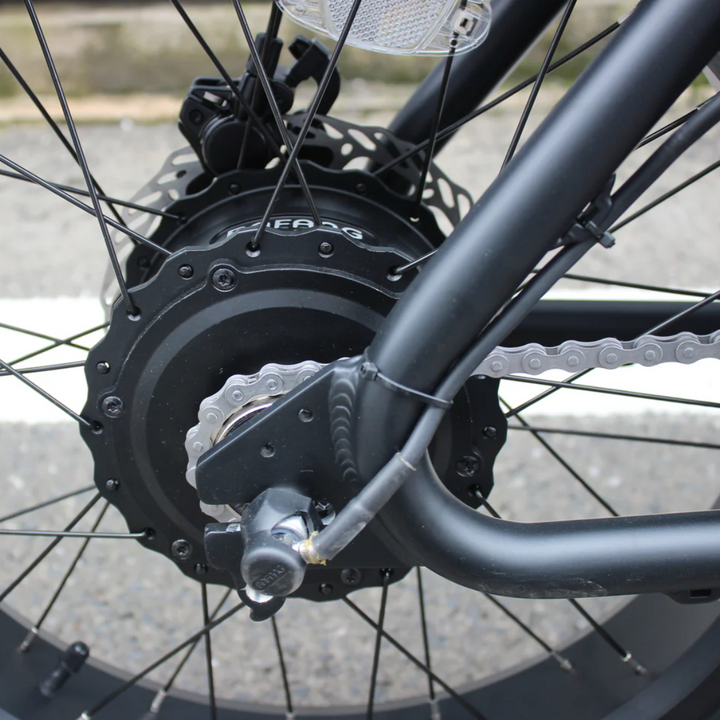 Coastal Cruiser Ripper Pro - Dual-Battery 48V 750W Moto Style E-Bike
