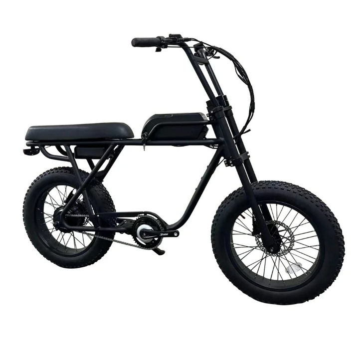 Coastal Cruiser Ripper 2 Fat Tire, 750W, 28 MPH Moto-Style E-Bike