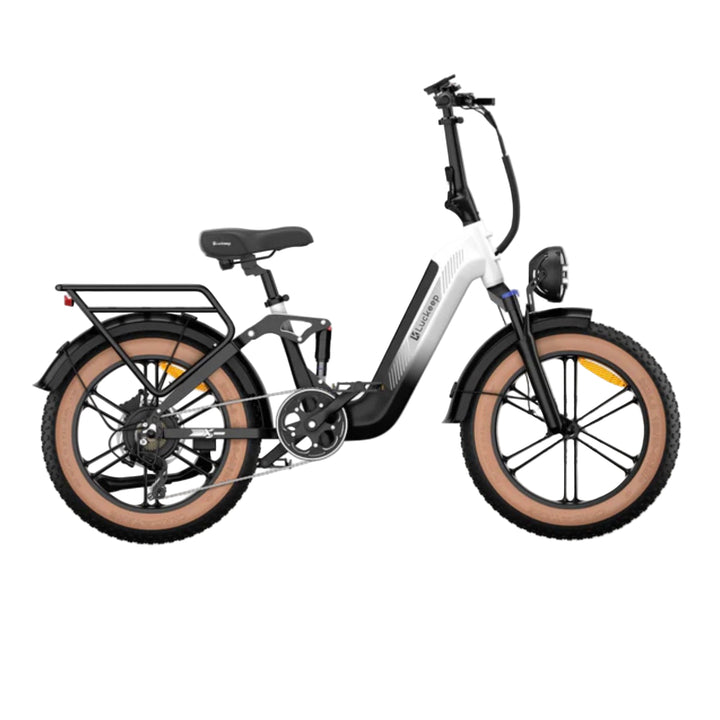 Luckeep X3| Fat tire full suspension Electric Bike