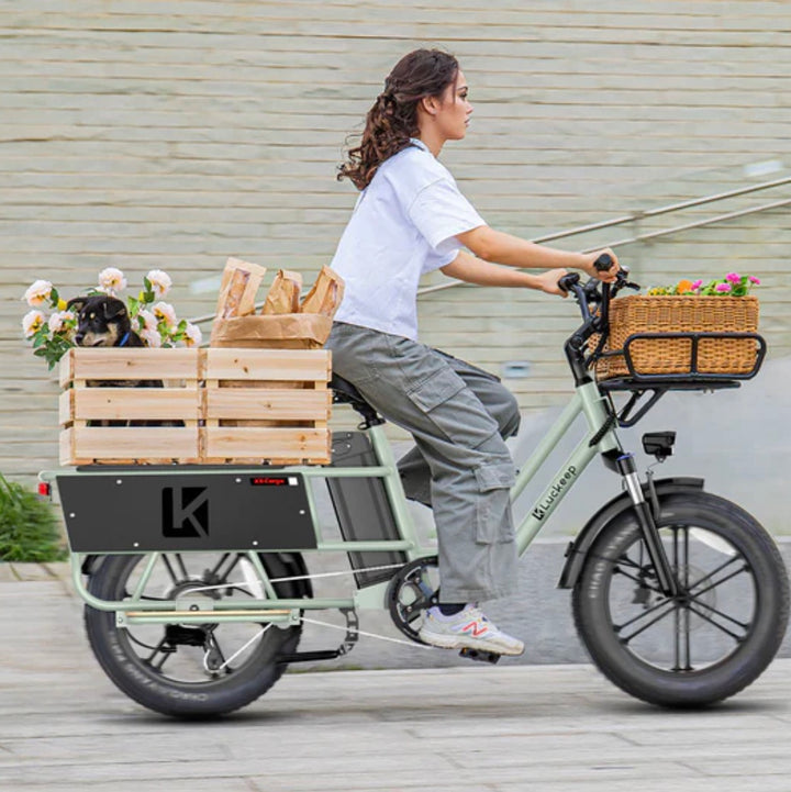 Luckeep X5 Lite| Versatile, Family-ready Cargo Electric Bike
