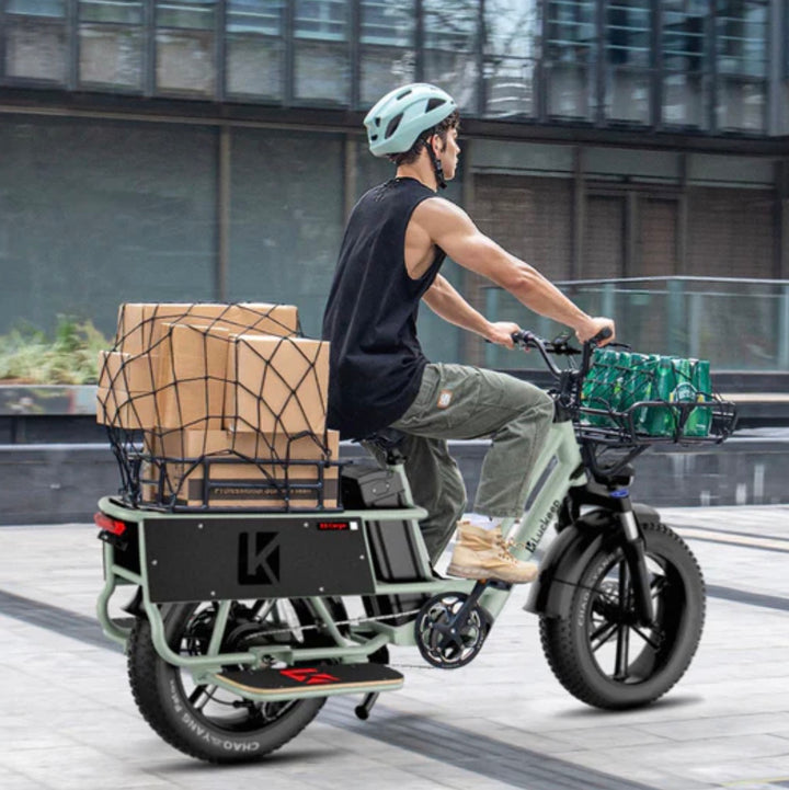 Luckeep X5 Lite| Versatile, Family-ready Cargo Electric Bike