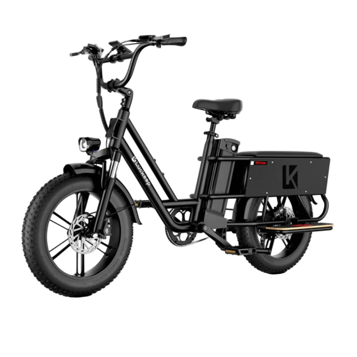 Luckeep X5 Lite| Versatile, Family-ready Cargo Electric Bike