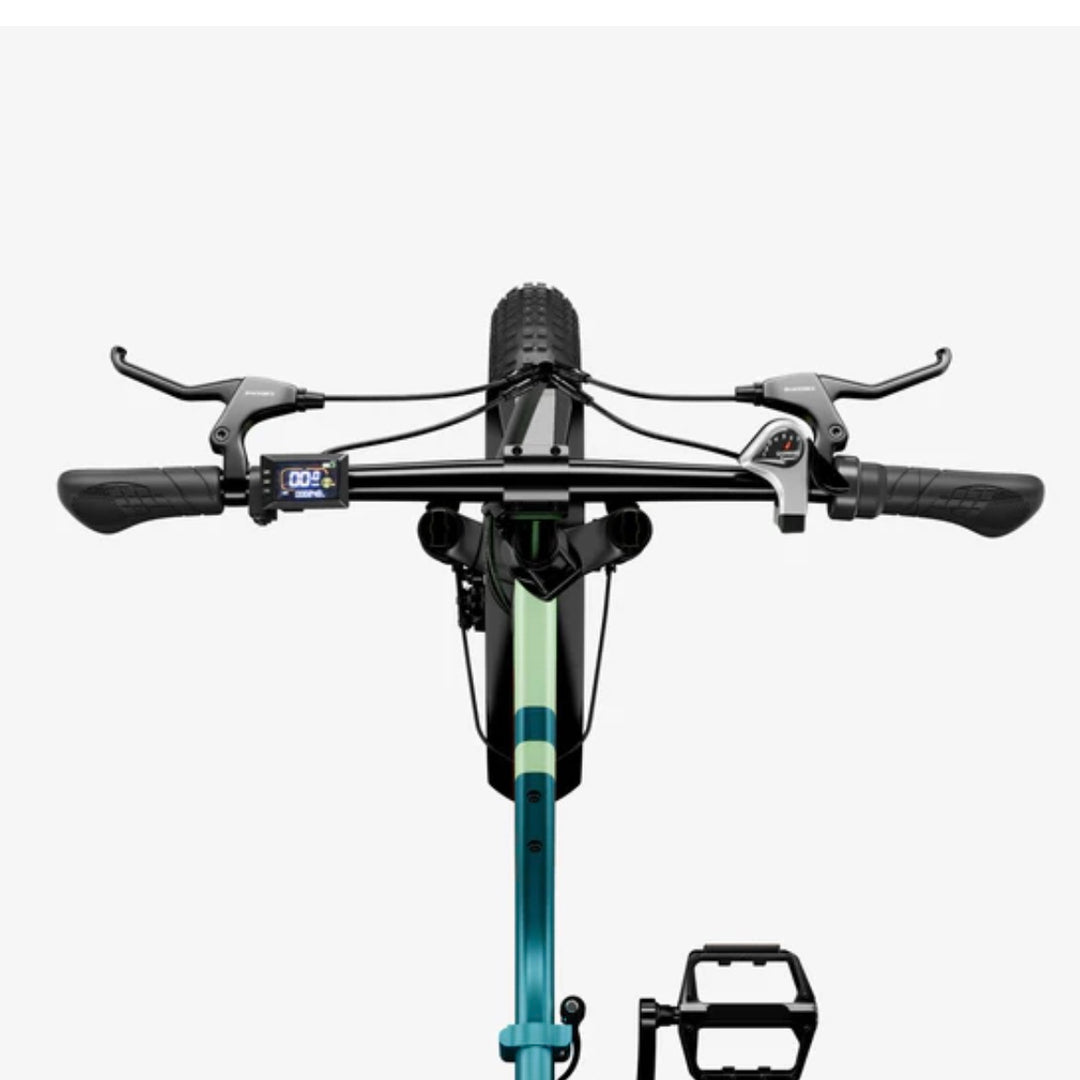 Luckeep C23| Foldable Step-Through Electric Bike with Backseat
