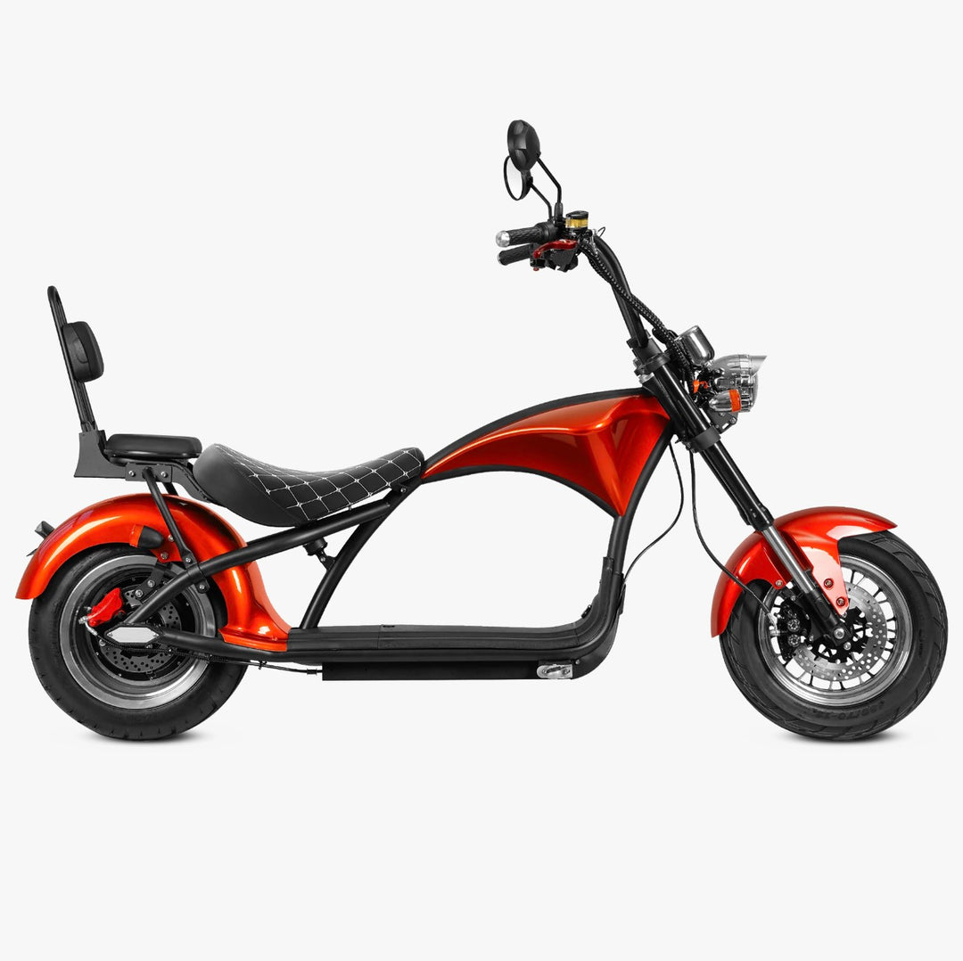Eahora M1P & Rear Seat-60V 2,000W 30Ah