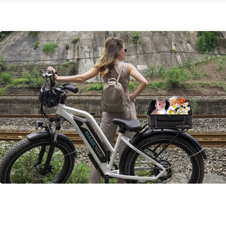 MAGICYCLE Large Ebike Rear Basket with Liner & Cargo Net