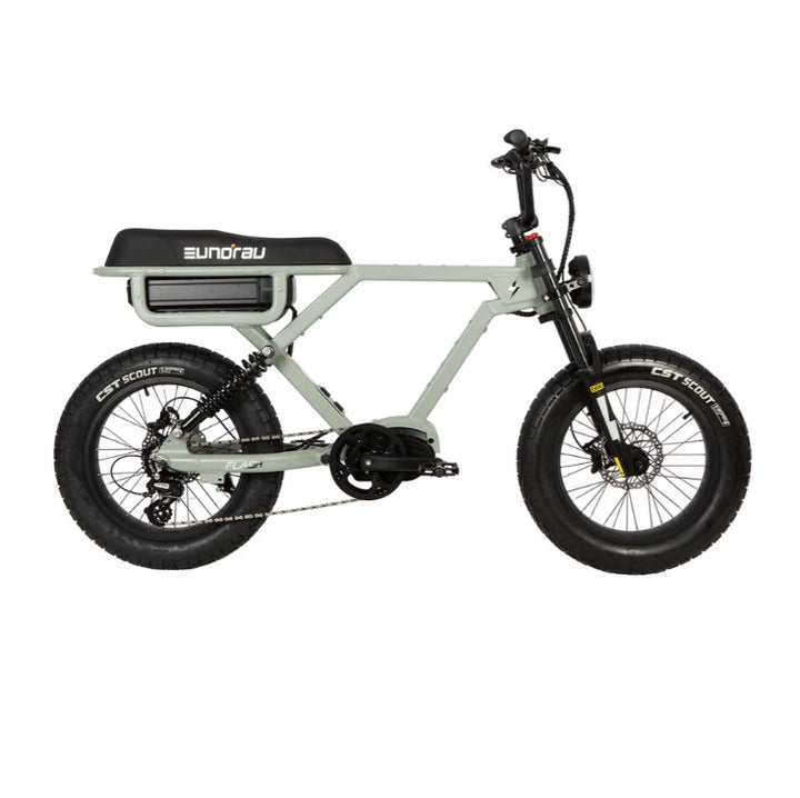 Eunorau FLASH 1.0 Ebike