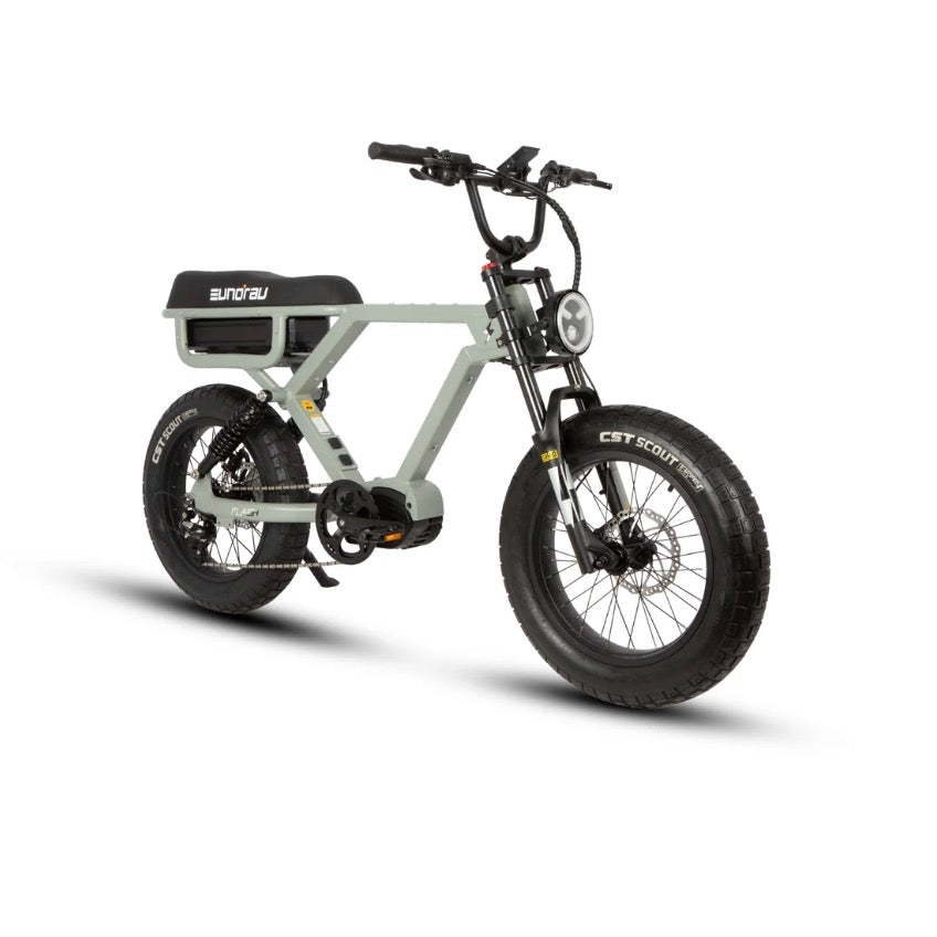 Eunorau FLASH 1.0 Ebike