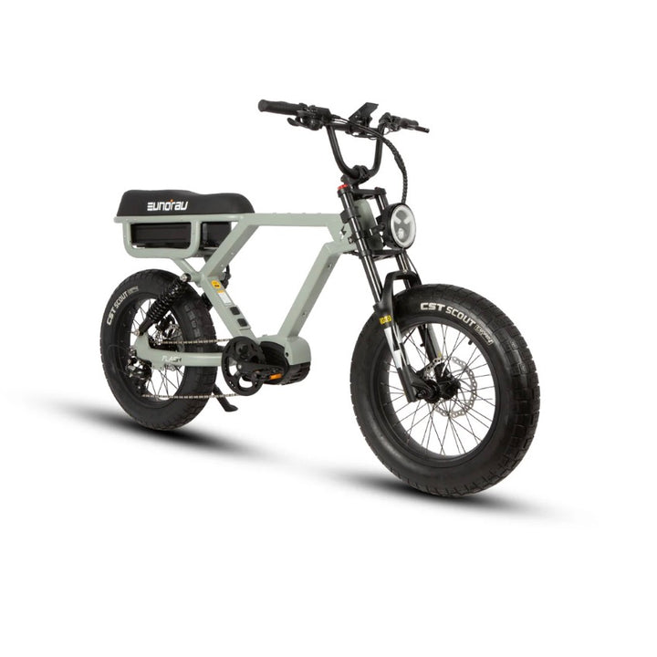 Eunorau FLASH 1.0 Ebike