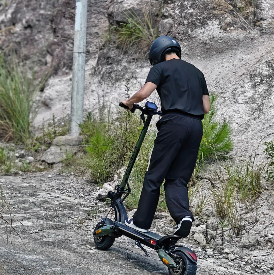 NANROBOT D6+ Max High Performance Electric Scooter