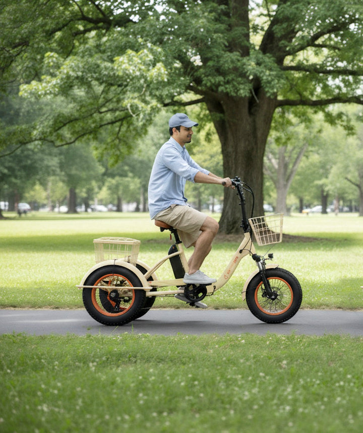 Sixthreezero Easy Transit 750W Fat Tire Electric Trike