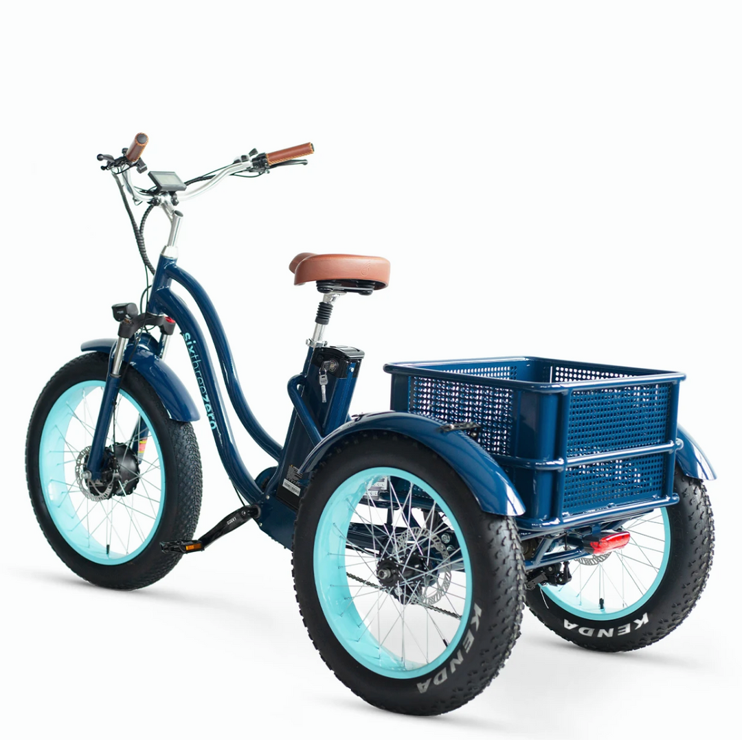 EVRYjourney Electric Tricycle Rickshaw Rear Basket