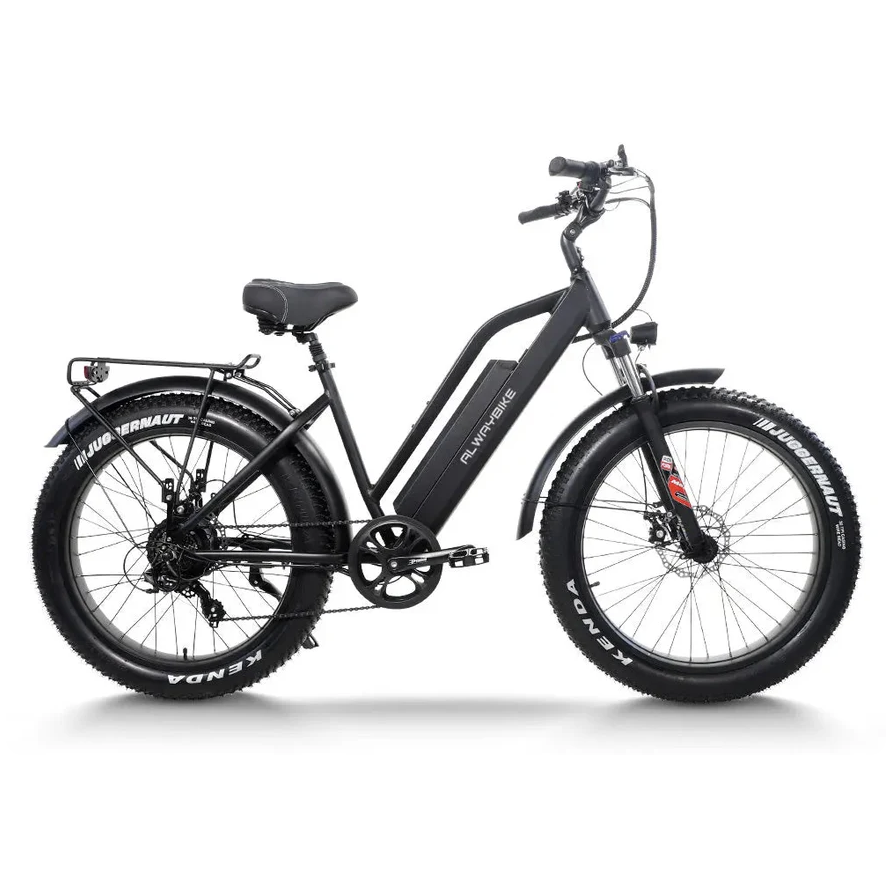 CEMOTO AEB31A City Commuter Ebike Fat Tire Electric Bike