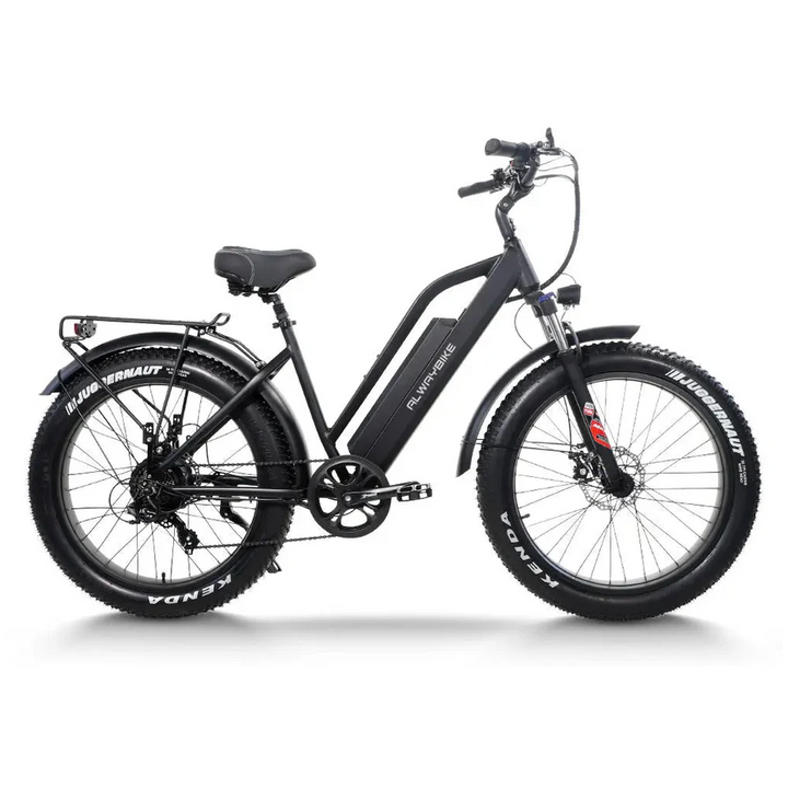 CEMOTO AEB31A City Commuter Ebike Fat Tire Electric Bike