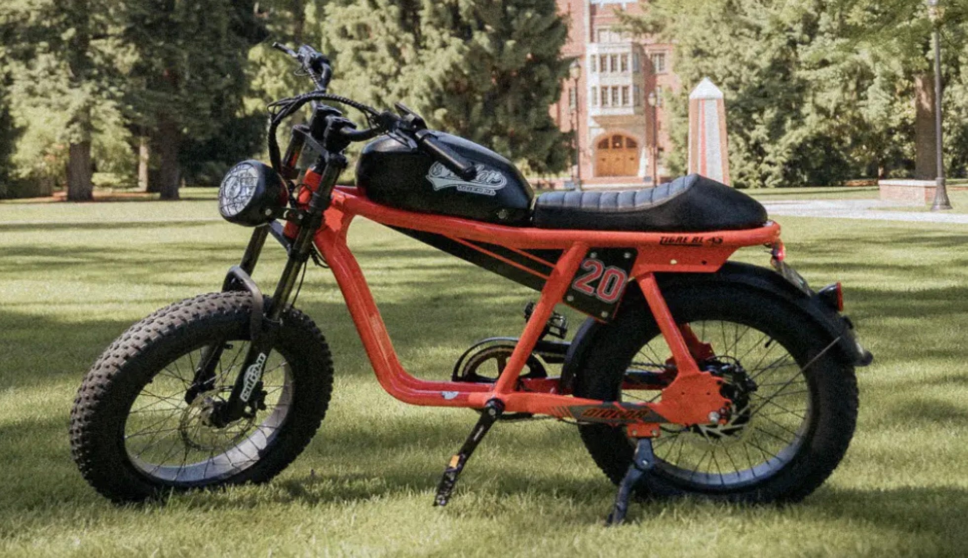 QIOLOR Moped Style Electric Bikes EBike Haul qiolor-moped-style-electric-bikes-ebike-haul
