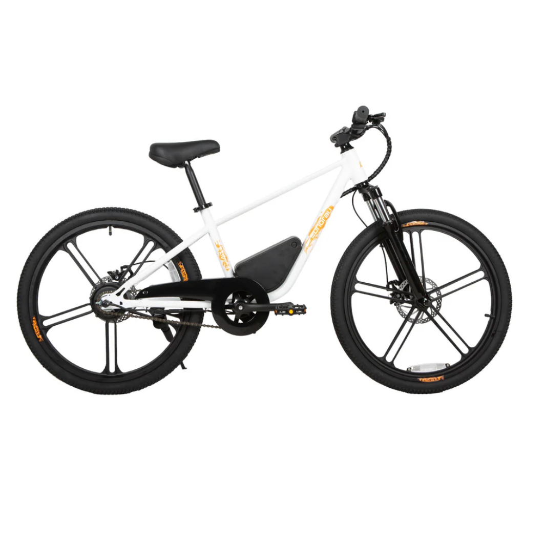 EUNORAU EKIDS24 1.0 Kids EBike