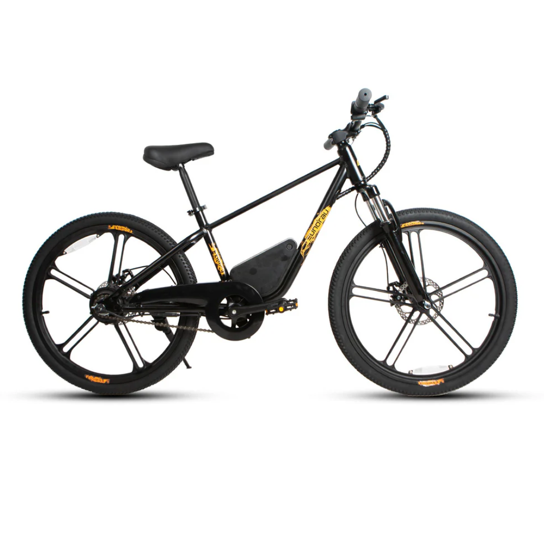 EUNORAU EKIDS24 1.0 Kids EBike