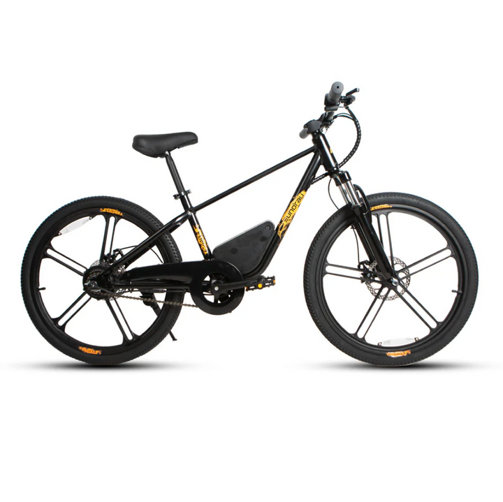 EUNORAU EKIDS24 1.0 Kids EBike