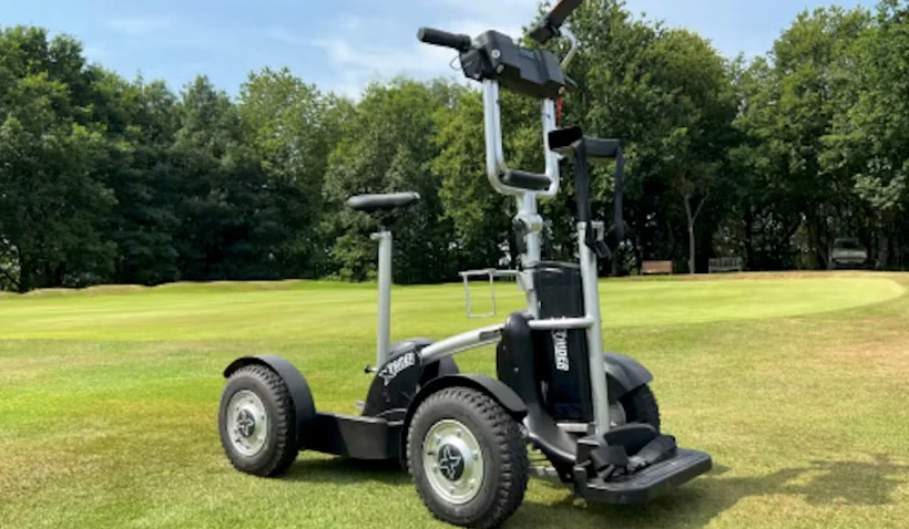 Moped & Chopper Electric Scooters