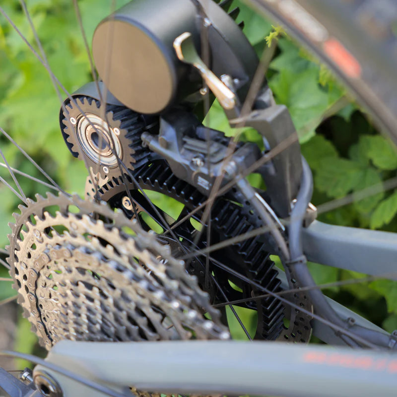 Bimotal Elevate Ebike Output Gear