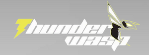 Thunderwasp