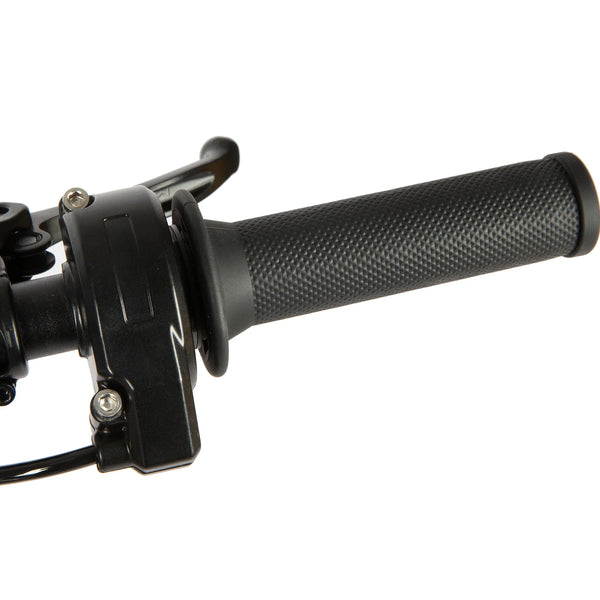 Twist Throttle with Ride Modes