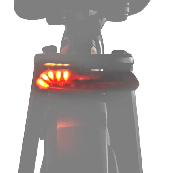 Integrated Turn Signals